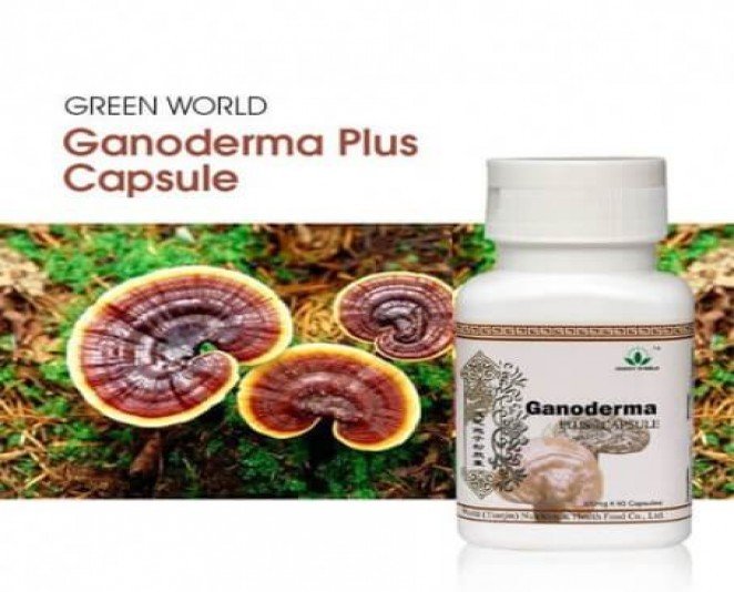 Ganoderma Plus Capsule Price in Pakistan - BwPakistan.com