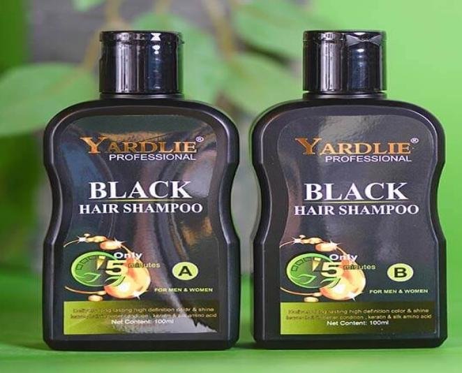 Yardlie Professional Black Hair Dye Shampoo in Pakistan - Image