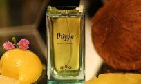 Drizzle Unisex Perfume Price In Pakistan