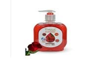 Yardlie Professional Anti Bacterial Hand Wash Price in Pakistan