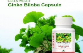 Ginkgo Biloba Capsule Price In Pakistan