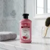 Wellice Onion Anti Hair Loss Shampoo Price in Pakistan image 1